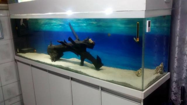 Aquário 200x60x50 completo, com Sump