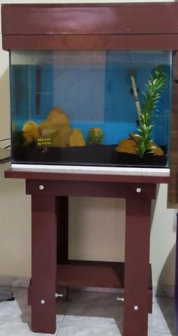 Aquário 60x45x35