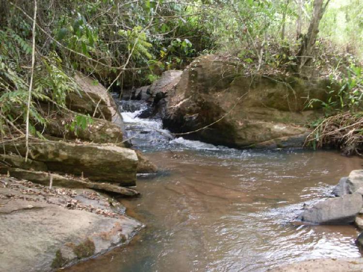 LINDA FAZENDA NA REGIAO SERRA DO RIO DE JANEIRO!