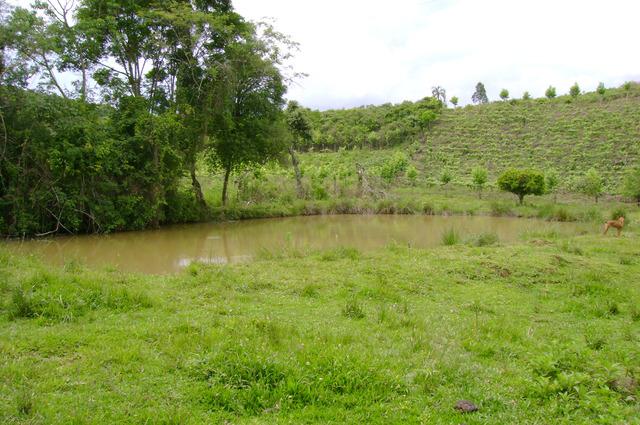 Torro Chácara 48 hectares em Cotiporã