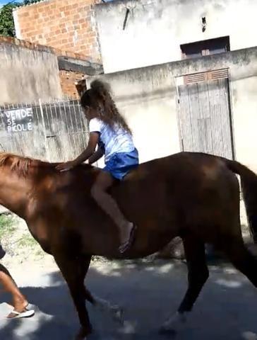 Vendo cavalo