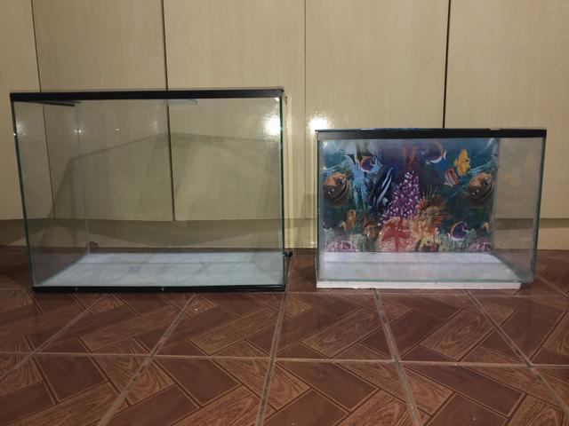 Vendo dois aquários