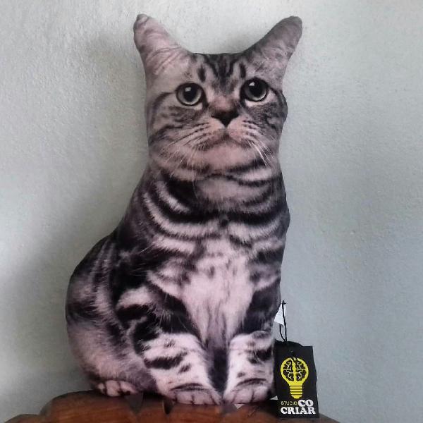 cat power!