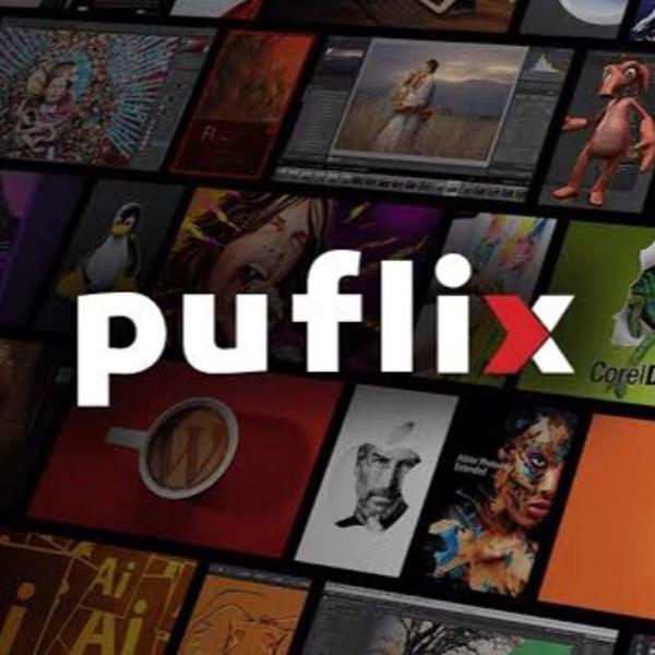 puflix curso online