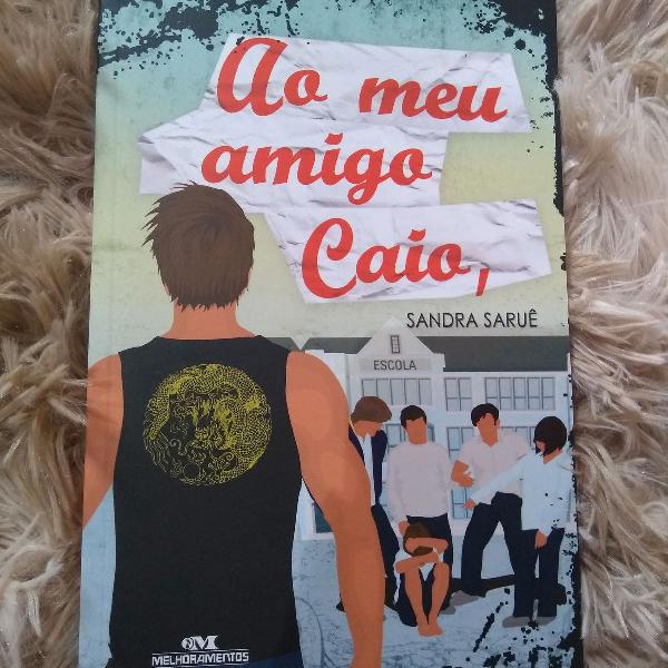 Livro; "Ao meu amigo Caio"-Sandra Saruê