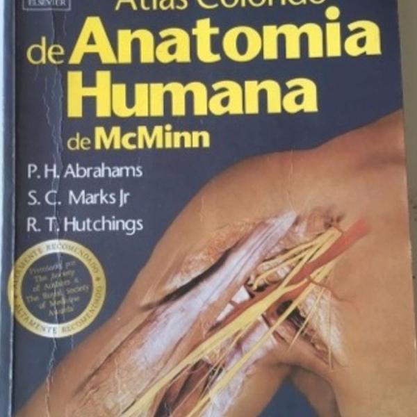 atlas medicina- pescoço