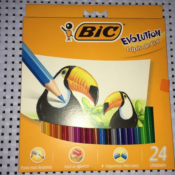 caixa com 24 lápis coloridos bic