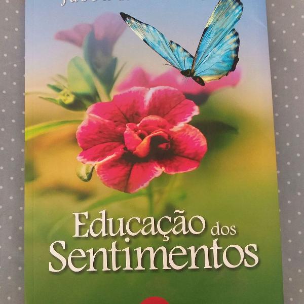livro espírita "educação dos sentimentos"