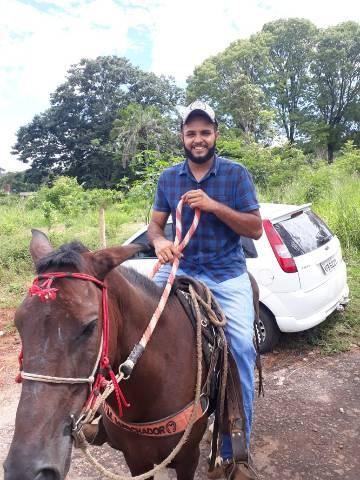 Cavalo preto