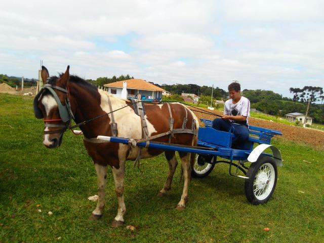 Charrete com cavalo