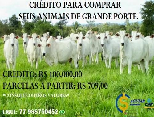 Crédito Para Animais De Grande Porte.