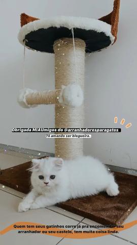Lindos arranhadores para gatos