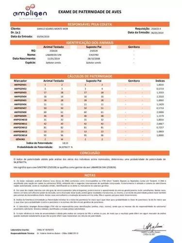 Técnicas De Manejo E Reprodução