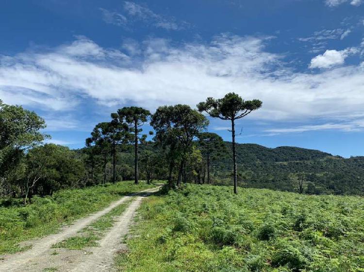 Venda de Chácaras em Urubici