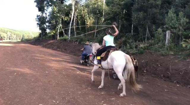 Vendo Egua QM de laço comprido