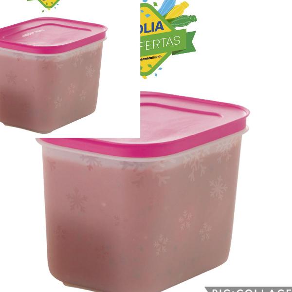 kit dois potes freezer line 1 litro