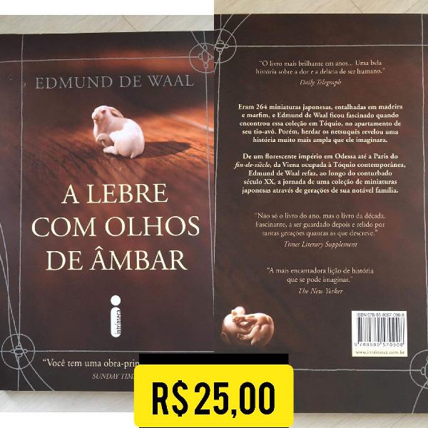 A LEBRE COM OS OLHOS DE ÂMBAR - EDMUND DE WAAL