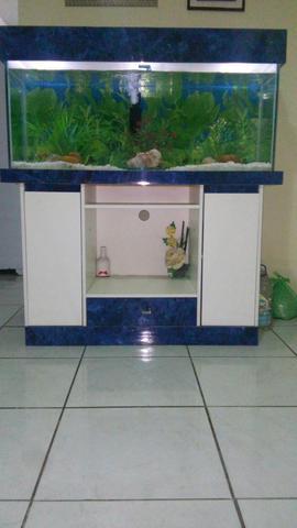 Aquario grande