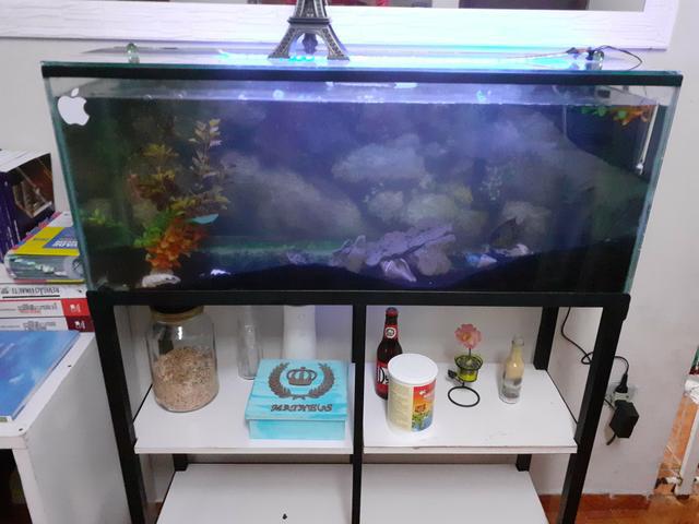 Aquário 200L *aceita cartao