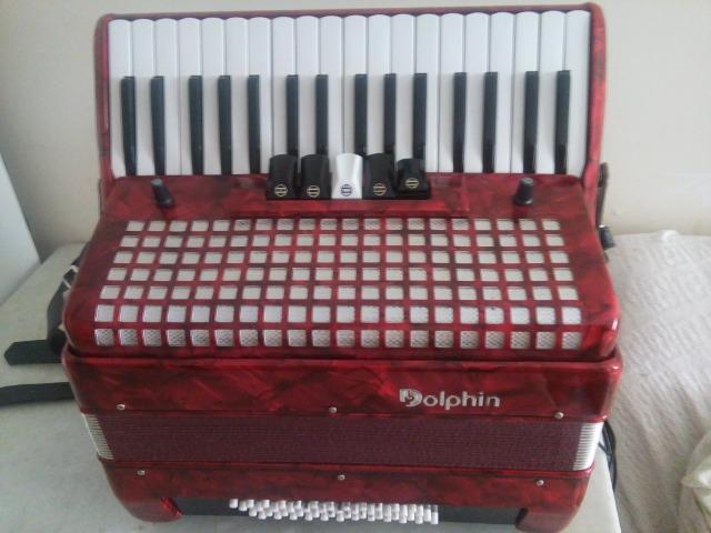 Gaita troco acordeon 48 baixos marca dolphin