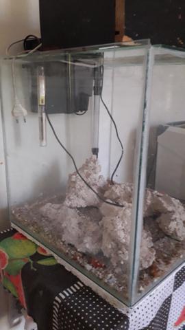 Vendo aquario completo