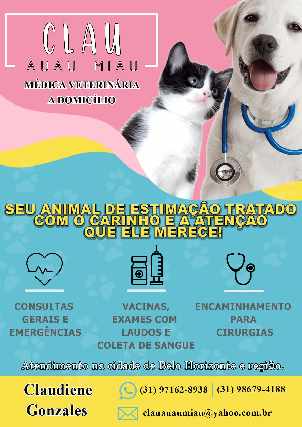 Veterinária a domicílio