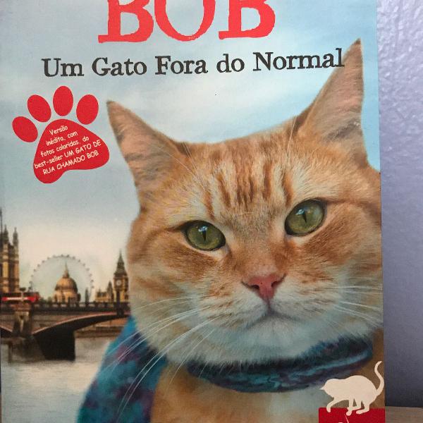 bob, um gato fora do normal