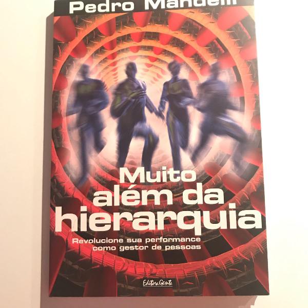 livro muito além da hierarquia