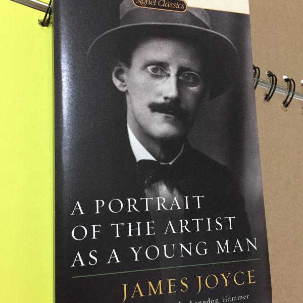 livro portrait of the artist as a young man de james joyce