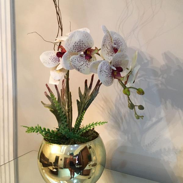 arranjo de orquídea