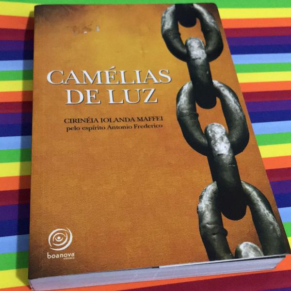 livro camelias de luz escrito por cirineia iolanda maffei