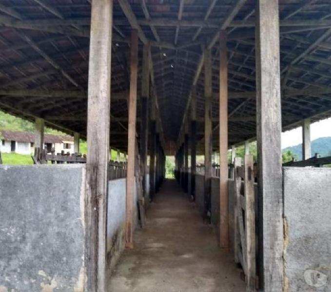 Fazenda toda preparada em Silva Jardim RJ