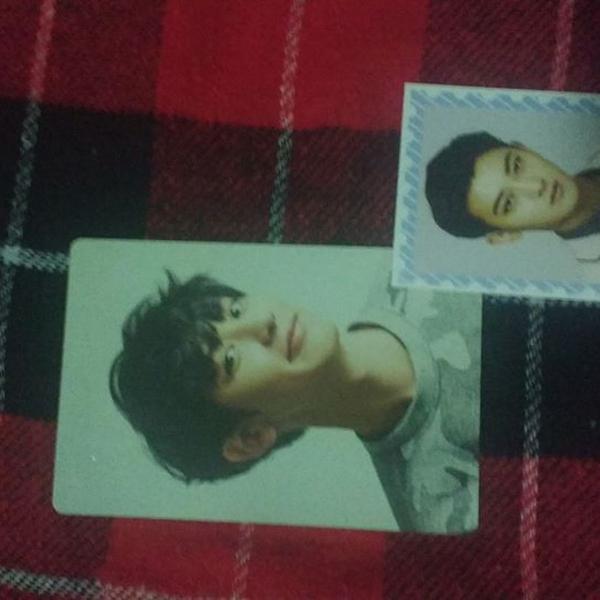 photocard do chanyeol exo kpop original com brinde