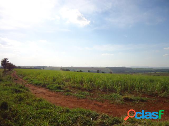 FAZENDAS - Venda - AVARÃÂ - SP - RURAL