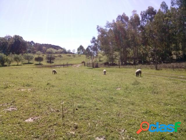 SÃ­tio - Venda - Farroupilha - RS - Linha Vicentina