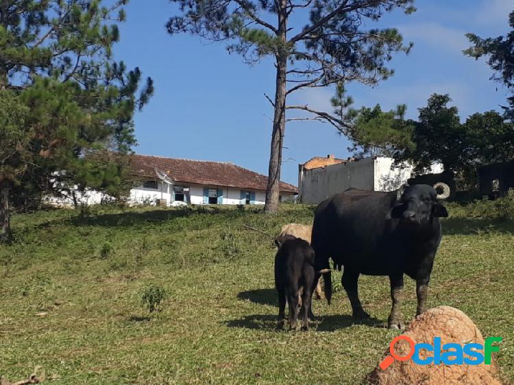 SÃ­tios - Venda - Sao Miguel Arcanjo - SP - Centro