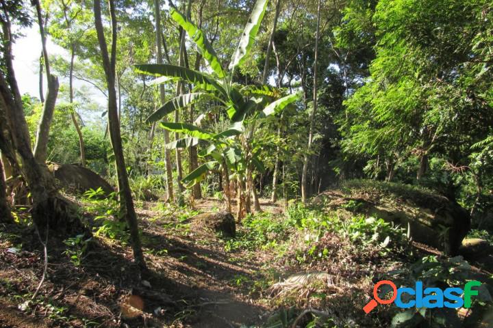 Terreno - Venda - Ilhabela - SP - Sao Pedro