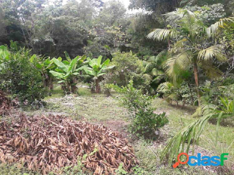 Terreno - Venda - Rio do Sul - SC - Bela AlianÃ§a