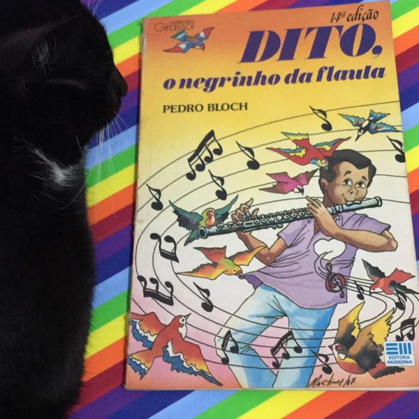 livro dito o negrinho da flauta