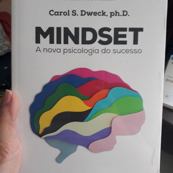 livro mindset