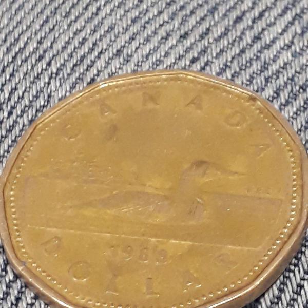 moeda de 1 dólar canadense