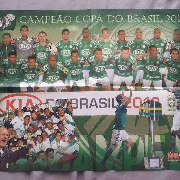 pôster palmeiras campeão copa do Brasil 2012