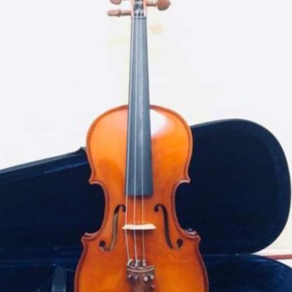 violino eagle vk-144 4/4