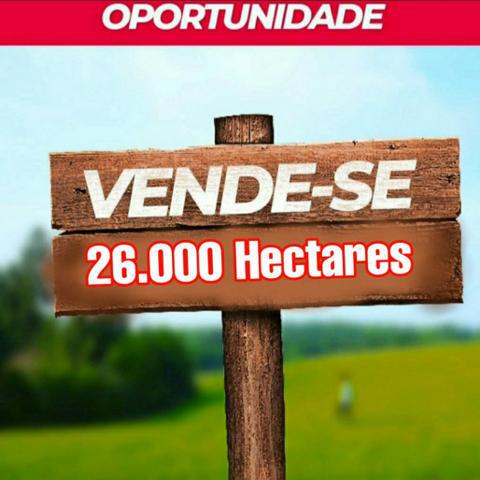 26.000 Hectares em Chapadinha/ urbano Santos *