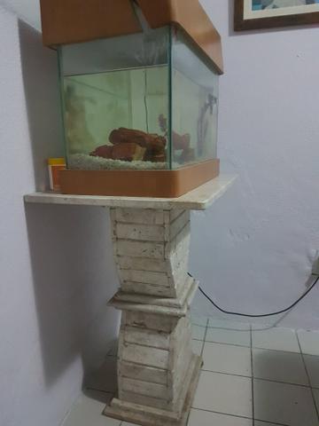 Aquario com mesa