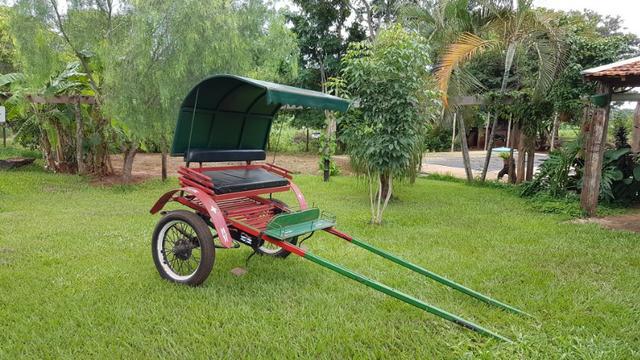 Charrete com capota