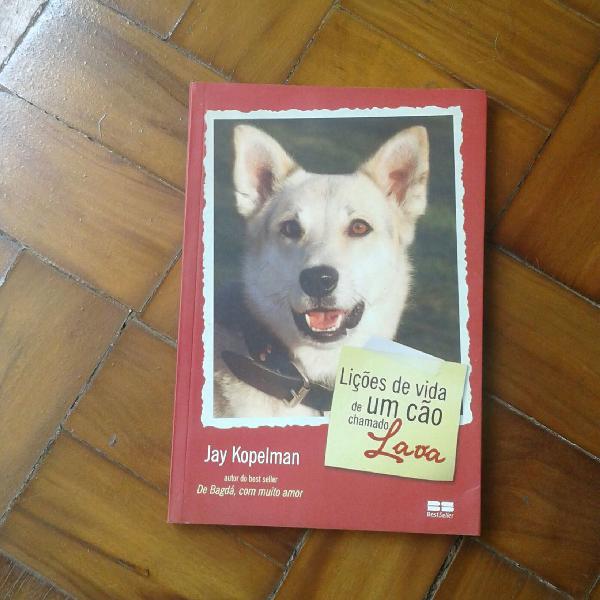 Livro 'Lições de vida de um cão chamado Lava'