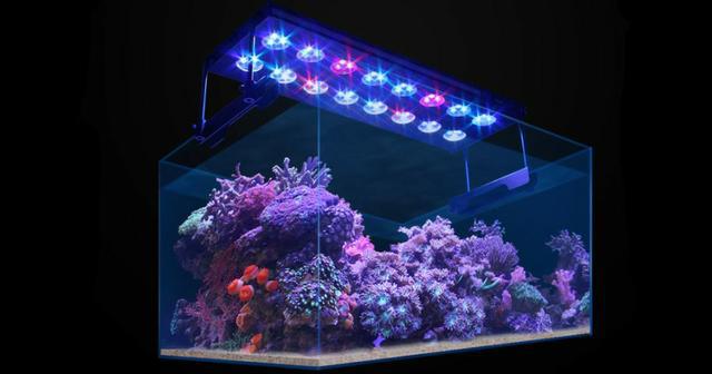 Luminaria para aquario spectra-sanrise 60