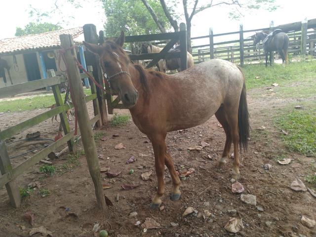 Pra vender hj