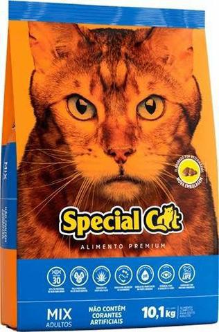 Special cat